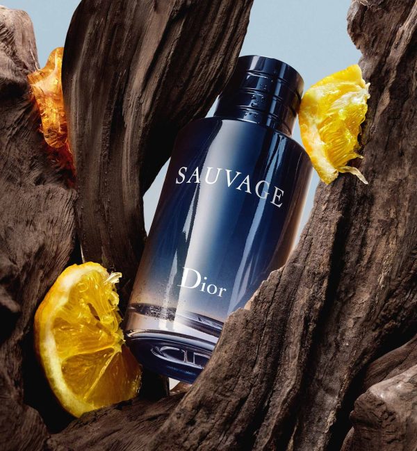 Sauvage Wild Oriental Perfume for Men – 100ML